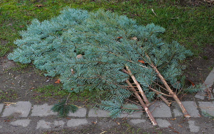 © www.mutbuergerdokus.de: Weihnachten: Eine 'Ökoschlacht'