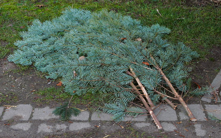 © www.mutbuergerdokus.de: Weihnachten: Eine 'Ökoschlacht'