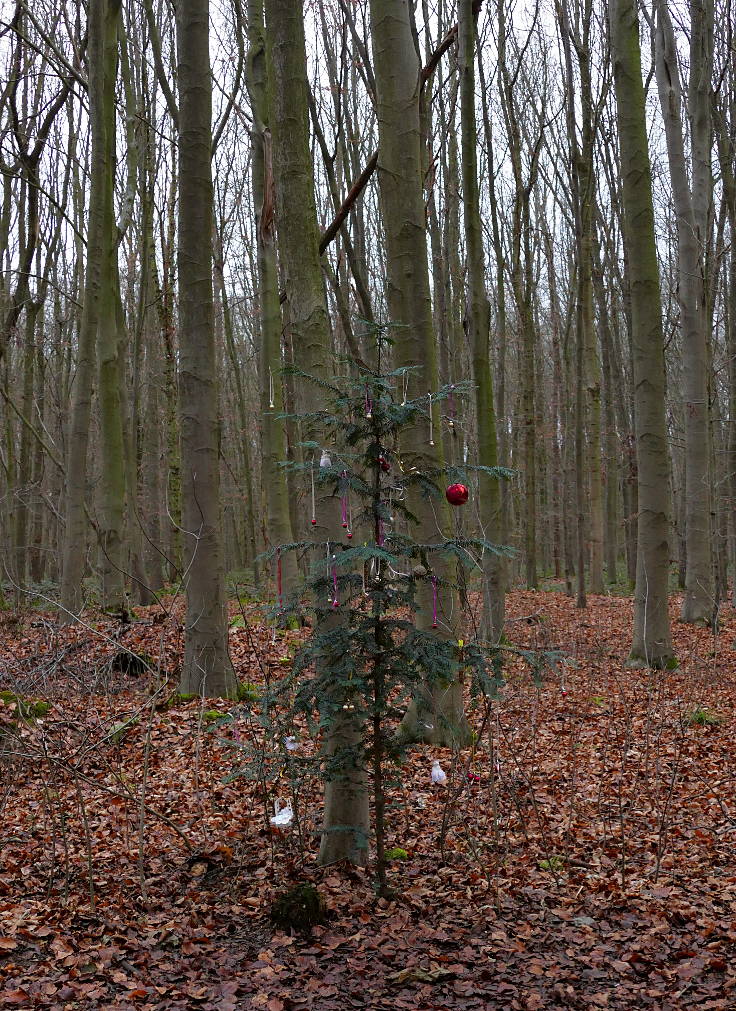 © www.mutbuergerdokus.de: Weihnachten: Eine 'Ökoschlacht'