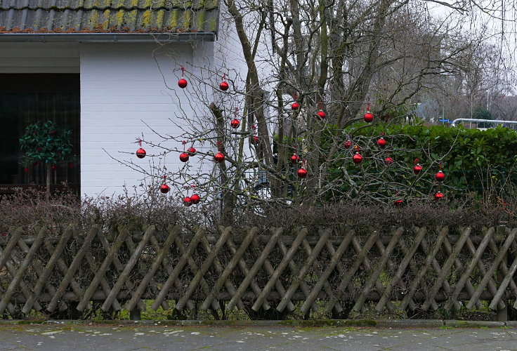 © www.mutbuergerdokus.de: Weihnachten: Eine 'Ökoschlacht'