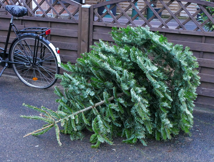 © www.mutbuergerdokus.de: Weihnachten: Eine 'Ökoschlacht'