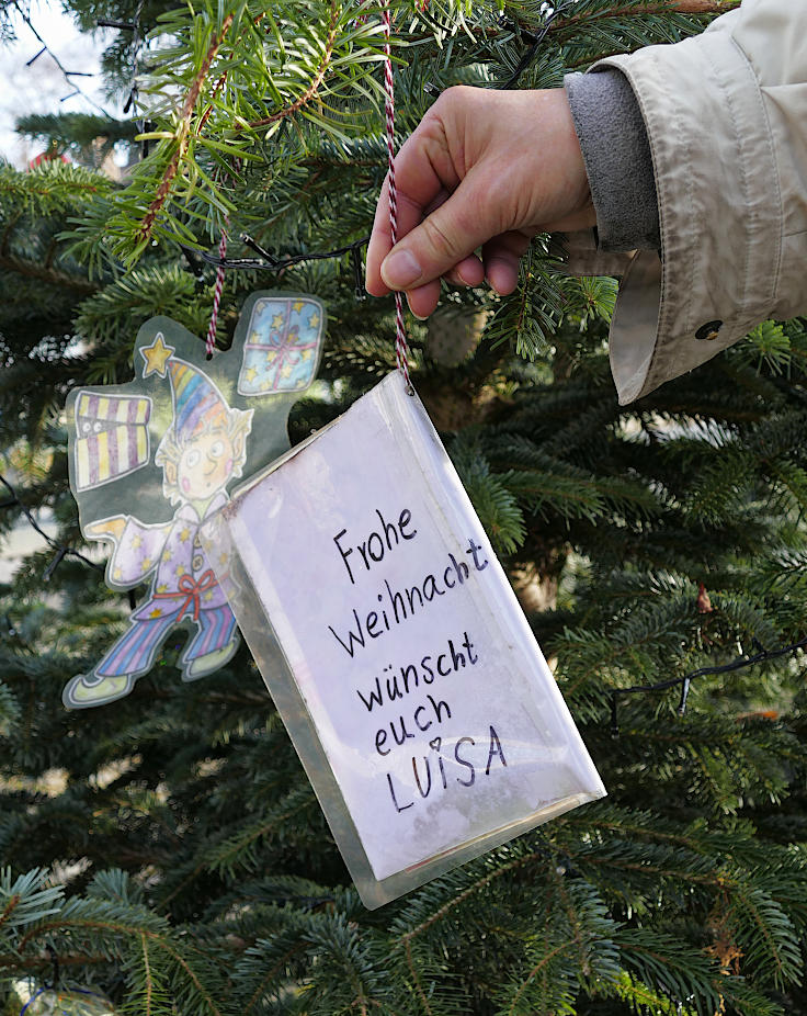 © www.mutbuergerdokus.de: Weihnachten: Eine 'Ökoschlacht'
