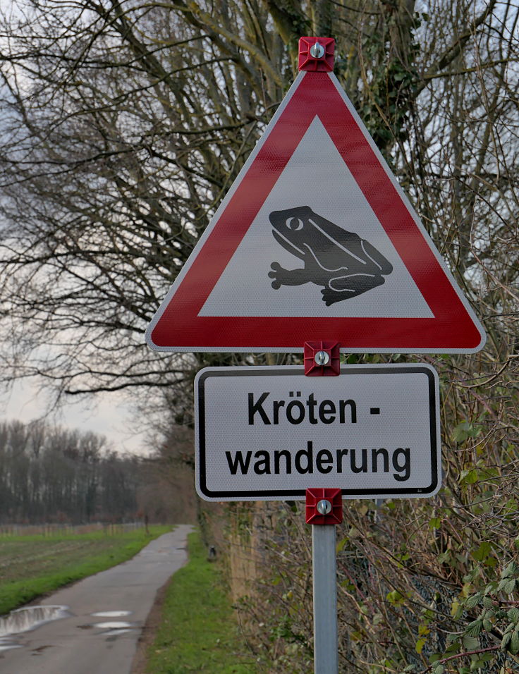 Wandschild: 'Krötenwanderung'