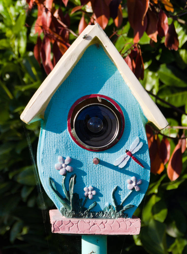 'Spionagevogelhaus' (2024) 'Spionagevogelhaus' (2024)