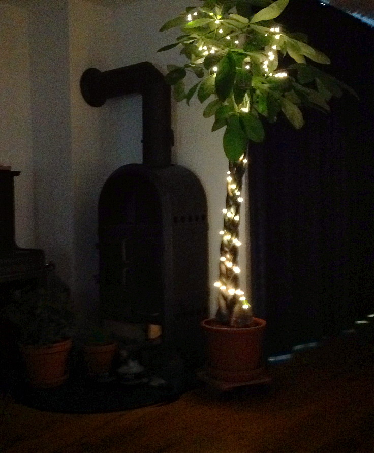 Weihnachtsbaum-Alternative